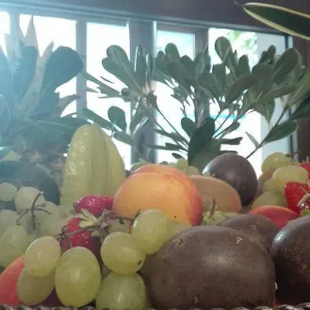 호텔 Jura 벨레지아아지마리나